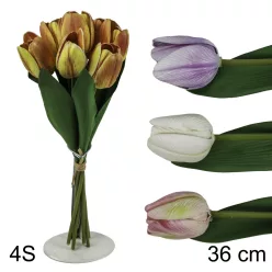 TULIPÁN CSOKOR 7VIR.4S 36CM