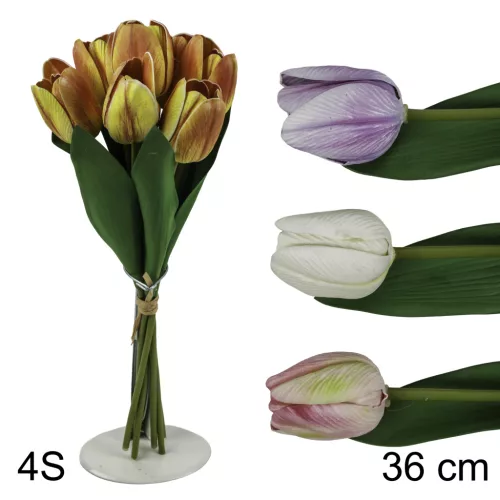 TULIPÁN CSOKOR 7VIR.4S 36CM