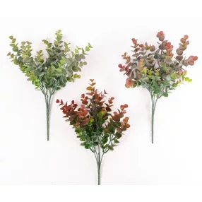 EUKALIPTUSZ BOKOR 3S   36CM
