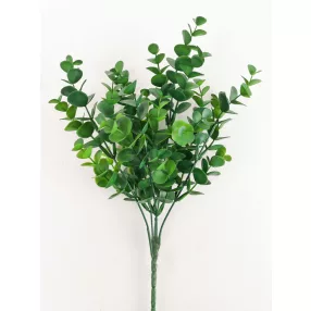 EUKALIPTUSZ BOKOR S.ZÖL36CM