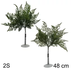CSOKOR ERDEI PÁFRÁNY 2S  48