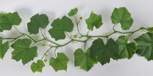 GIRLAND SZŐLŐ ZÖLD  37L/156