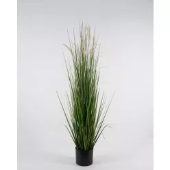 BOKOR ZÖLD MUHAR+CSER50*150