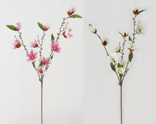 MAGNÓLIA ÁG*4 2SRÓ+FEH.90CM
