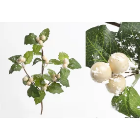 PICK BOGYÓ, LEVÉLLEL, KRÉM ZÖLD