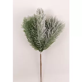 FENYŐÁG, 7 ÁGÚ, ZÖLD, DERES