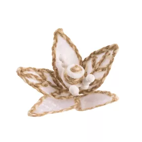 MIKULÁSVIRÁG FEJ, BARNA ÉS FEHÉR