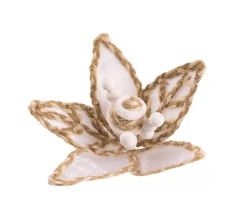 MIKULÁSVIRÁG FEJ, BARNA ÉS FEHÉR