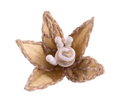 MIKULÁSVIRÁG FEJ, BARNA