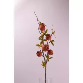 GRÁNÁTALMA ÁG.5GY+8LEV.80CM
