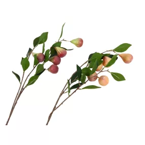 KÖRTE ÁG 5GY.+16LEV.2S 87CM