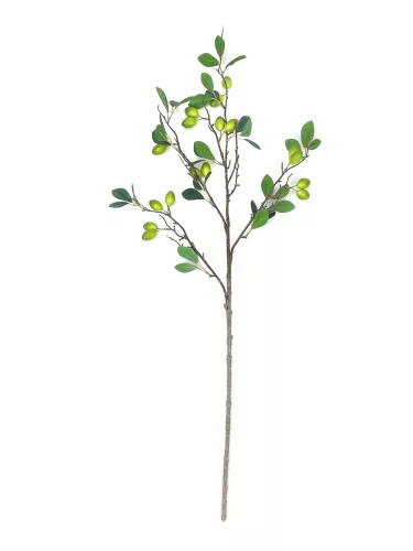OLIVA ÁG 3S            96CM