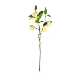 GYÖMÖLCS ÁG KÖRTE 2S   95CM