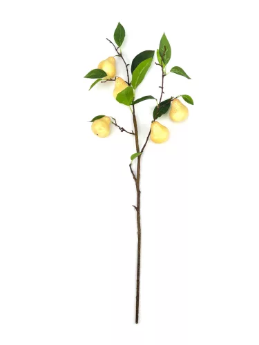 GYÖMÖLCS ÁG KÖRTE 2S   95CM