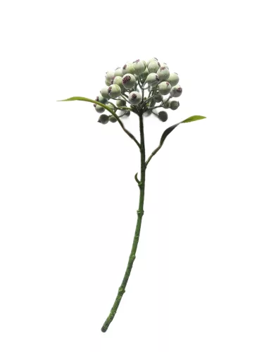 TŰZTÖVIS ÁG VINT.ZÖLD  31CM