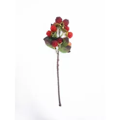 GYÜMÖLCSÁG MÁLNA 2S    29CM