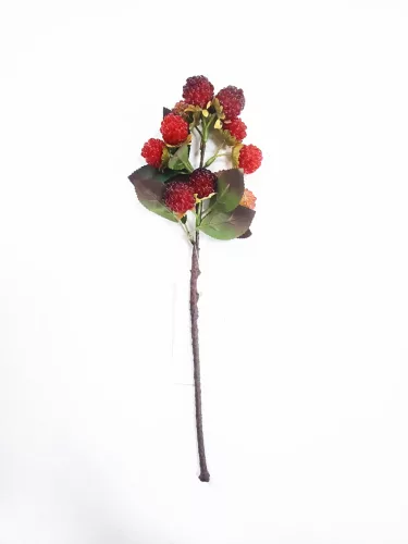 GYÜMÖLCSÁG MÁLNA 2S    29CM