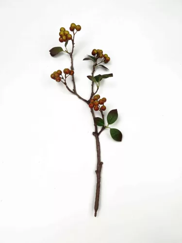 BOGYÓS ÁG ZÖLD         49CM