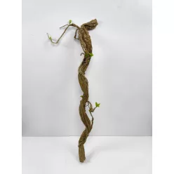 FOAM CSAVART ÁG   2S  100CM