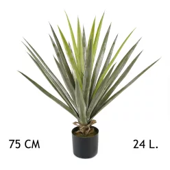YUKKA ZÖLD 24LEVÉL     75CM