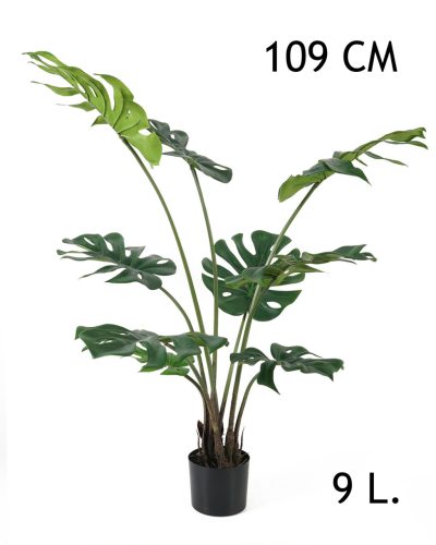 FILODENDRON 9LEV.+CS. 109CM