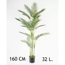 ARANYPÁLMA, 32 LEVÉLLEL, 4 TÖRZS