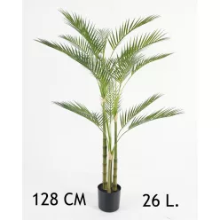 ARANYPÁLMA, CSERÉPPEL, 4 TÖRZSŰ, 26 LEVÉL, ZÖLD