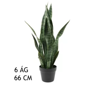 ANYÓSNYELV ZÖLD 6 ÁG    66CM
