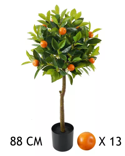 MŰVIRÁG, NARANCSFA, 13 GYÜMÖLCCSEL