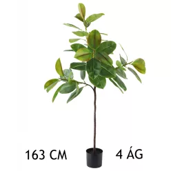 FIKUSZFA 4 ÁG ZÖLD     163CM