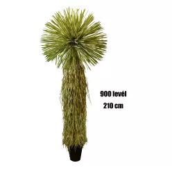 YUKKA, CSERÉPBEN, 50 ÁG, 900 LEVÉL, ZÖLD