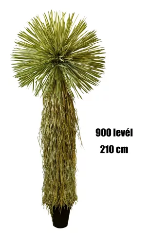 YUKKA, CSERÉPBEN, 50 ÁG, 900 LEVÉL, ZÖLD