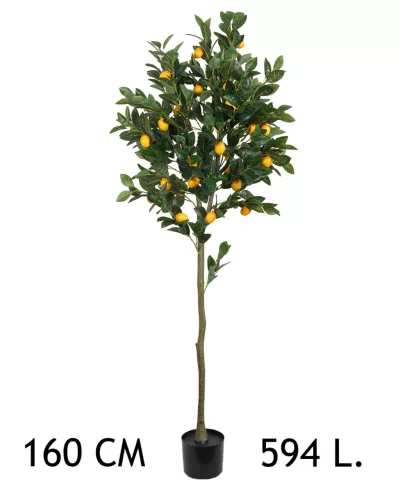 CITROMFA, 594 LEVÉL, ZÖLD, SÁRGA