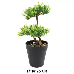 BONSAI FA, CSERÉPPEL, ZÖLD