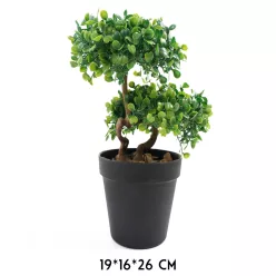 BONSAI FA, CSERÉPPEL, ZÖLD