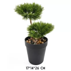 BONSAI FA, CSERÉPPEL, ZÖLD