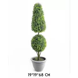 FA BONSAI, CSERÉPBEN, GYÓGYNÖVÉNY, ZÖLD