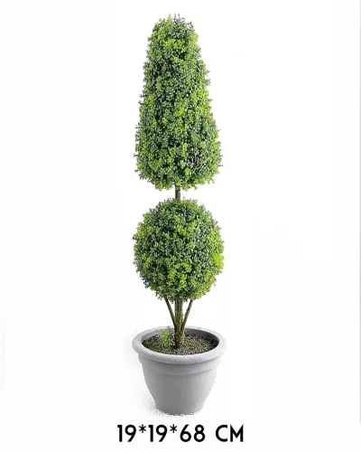 FA BONSAI, CSERÉPBEN, GYÓGYNÖVÉNY, ZÖLD