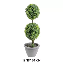 BONSAI FA, CSERÉPPEL, GYÓGYNÖVÉNYES, ZÖLD