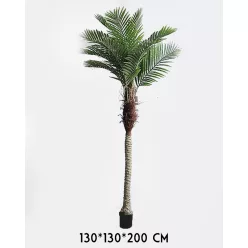 FA PÁLMA ZÖLD  12 LEVELES 200CM