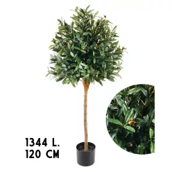 FA OLIVA, CSERÉPBEN, 1344 LEVÉL, ZÖLD