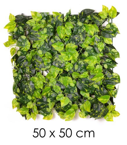 POTHOS PANEL ZÖLD     50*50