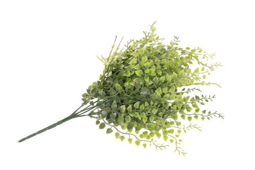 ZÖLD LEVELES BOKOR, UV ÁLLÓ