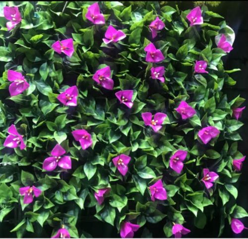 ZÖLDFAL BOUGAINV.UV 50*50CM