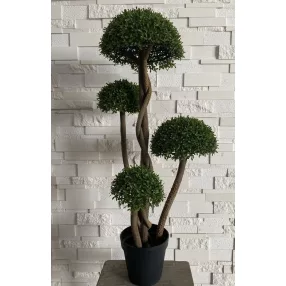 BONSAI 5FEJ+CSERÉP UV 115CM