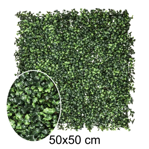 ZÖLDFAL BUXUS      UV 50*50