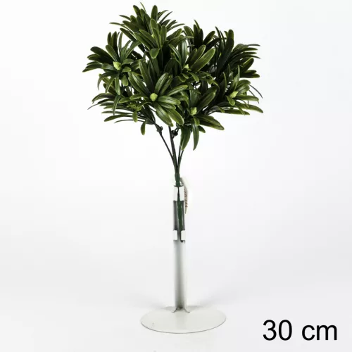 ZÖLD LEVELES BOKOR     30CM