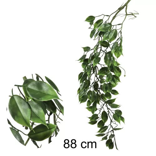 FUTÓ FICUS ZÖLD        88CM
