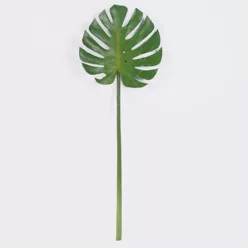 MONSTERA LEVÉL ZÖLD   29*88