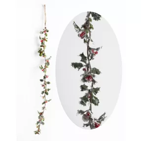 DEK.GIRL.ILEX HAVAS      50